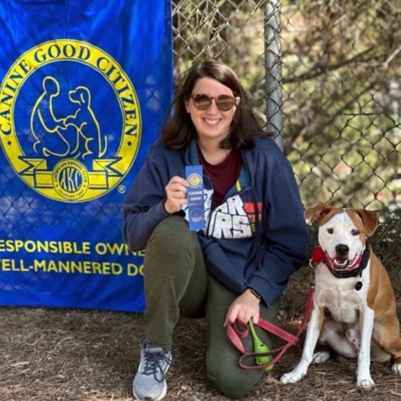 Pet Bowtie in a Green Christmas Holly - Picture 7 of 12